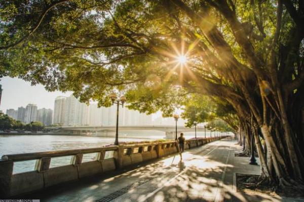 成都大学体育考研培训课程的准备技巧(图1)